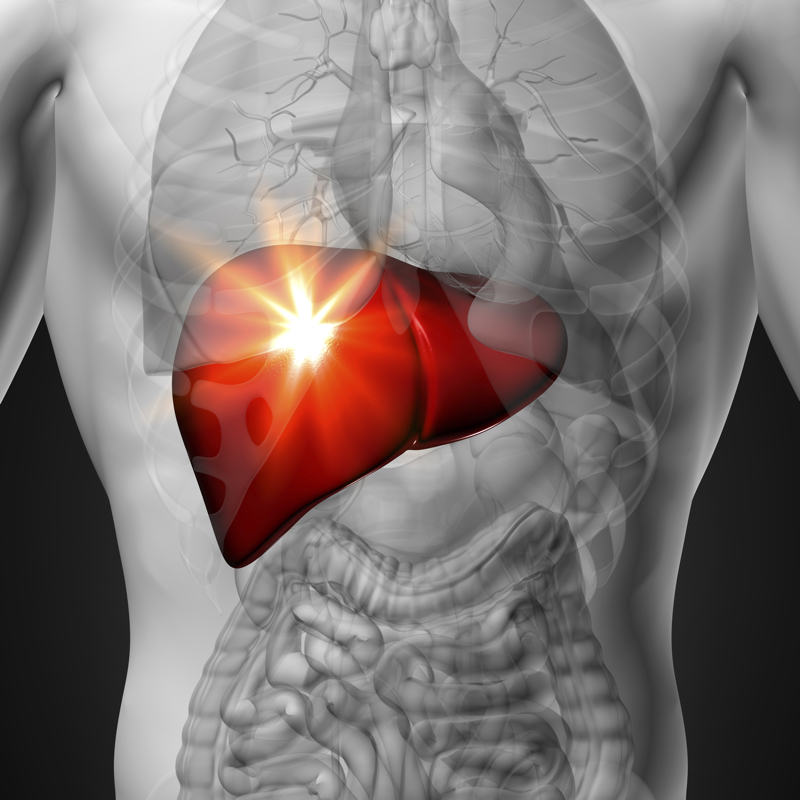 how-to-care-for-your-liver-naturopathic-view-of-the-human-life